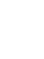 ViVeloci Brand Logo in white